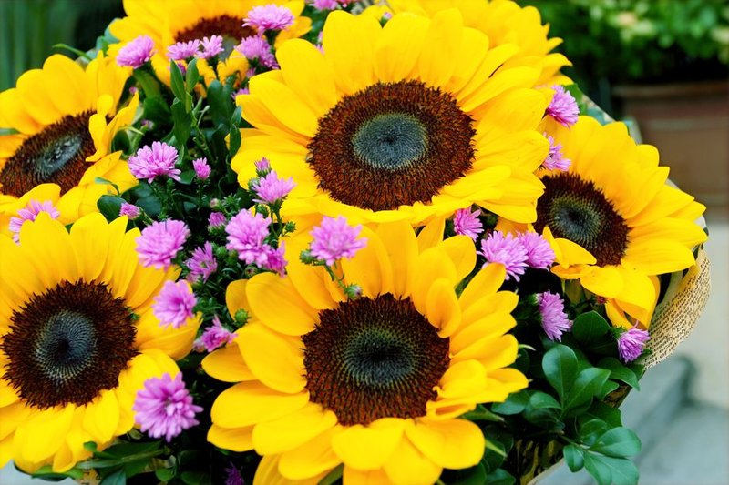 Arreglo Girasoles Alegres