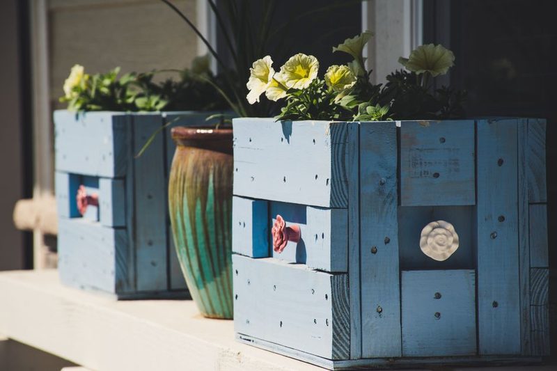 Caja Flores Sorpresa